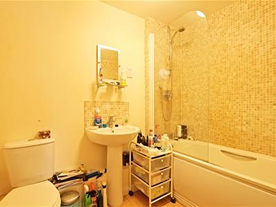 Picture 9